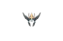Deruff's Princie Helm