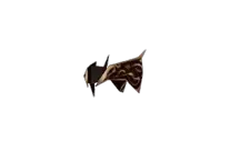 Ceto Vine Helm