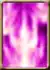 Divine Fall Mastery