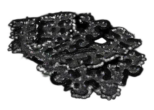 Gray Aida žemėlapis