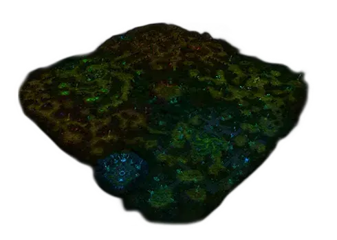 Swamp of Darkness žemėlapis